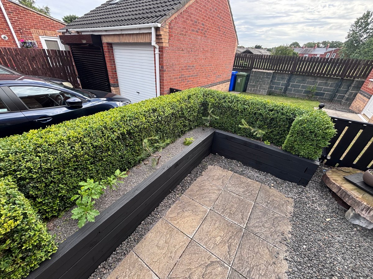 Widescreen shot of the inside of the box hedge 